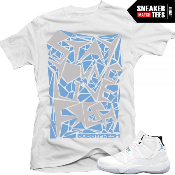 jordan retro 11 october 2018