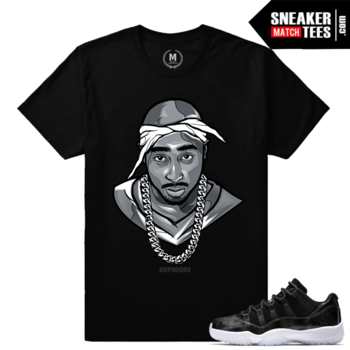 Match Sneakers Jordan 11 Barons