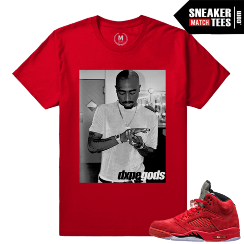 Retros Jordan 5 sneaker t shirt Red