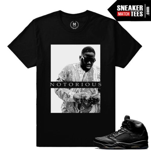 Jordan 5s Black Pinnacle Sneaker tee shirt