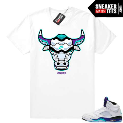 Air Jordan Grape t shirts