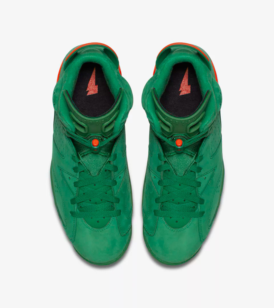 gator 6s jordans