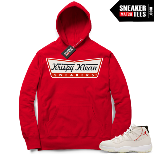 air noah jordan iv gentry humphrey Platinum Tint Hoodie