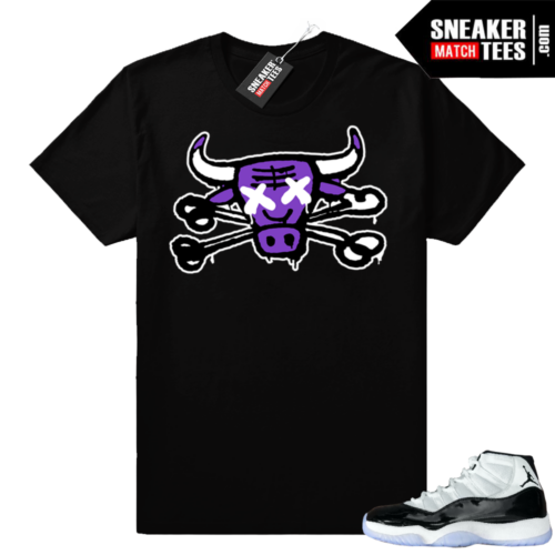 Concord 11 Benjamins Jordan t-shirt