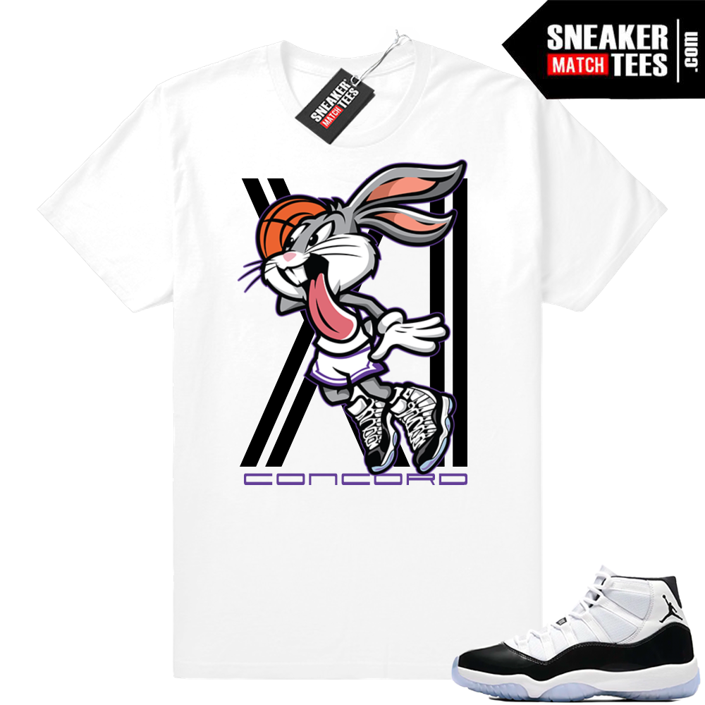 Jordan 11 Concord Air Rabbit tee 