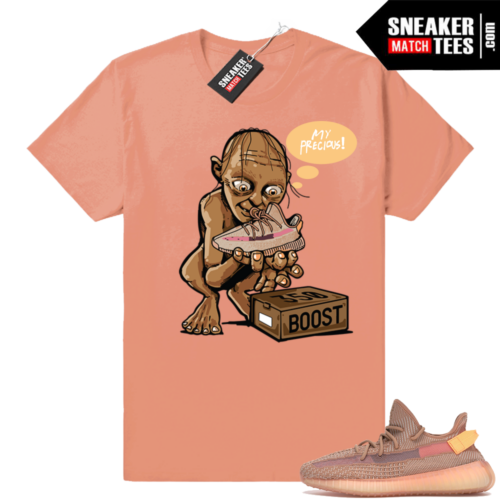 Clay Yeezy boost 350 V2 t-shirt