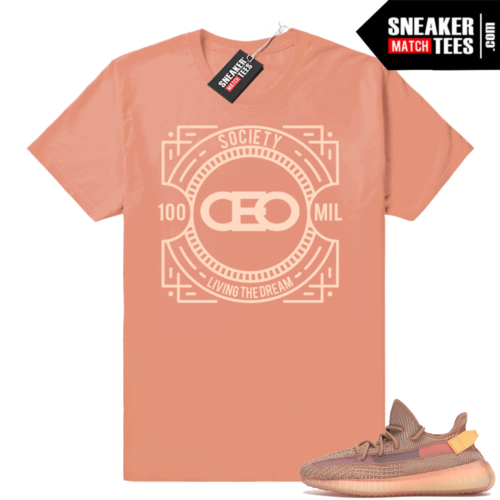 Yeezy 350 V2 Clay sneaker tees match outfit