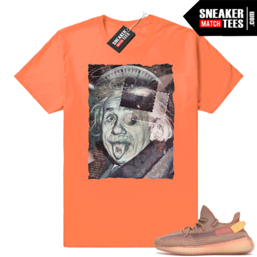 Yeezy Boost 350 Clay Trippy Genius tee