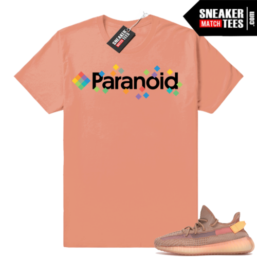 Yeezy Boost 350 Clay tee shirt