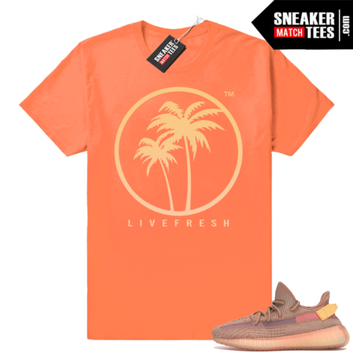 Yeezy Boost 350 V2 Clay sneaker matching shirt