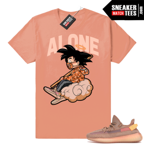 Yeezy Boost 350 V2 matching shirts