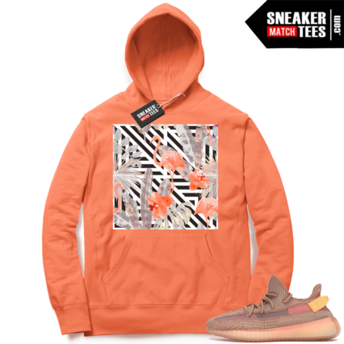 Yeezy wear Clay matching hoodie