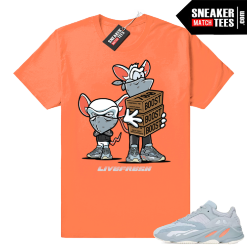 Yeezy boost 700 Inertia Sneaker T-shirt