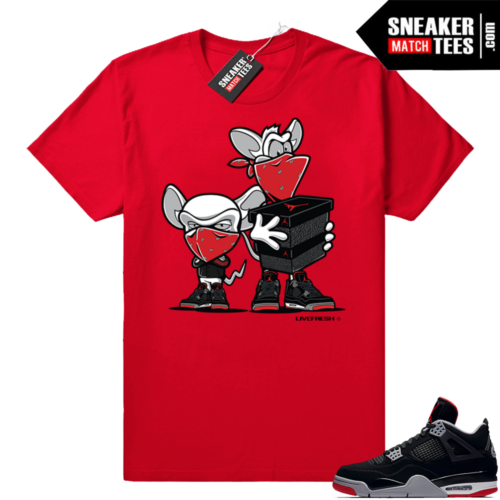 Jordan Facial retro 4 sneaker tees shirts