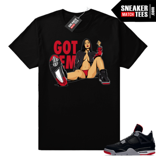 Air Jordan Bred t shirt