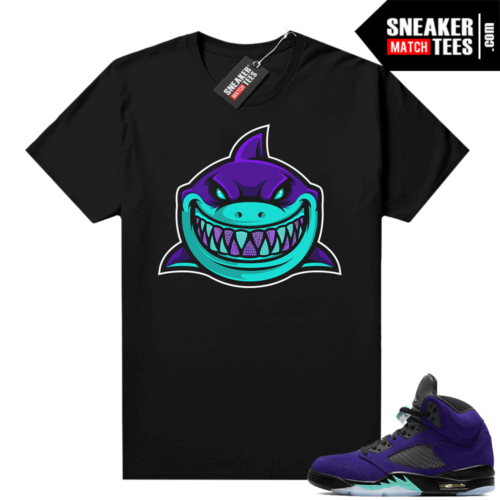 Jordan retro 5 Alternate Grape blacks