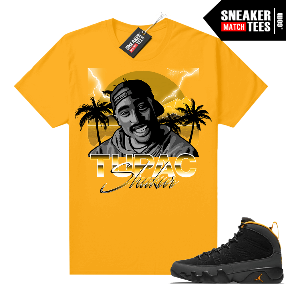 tupac jordan 9