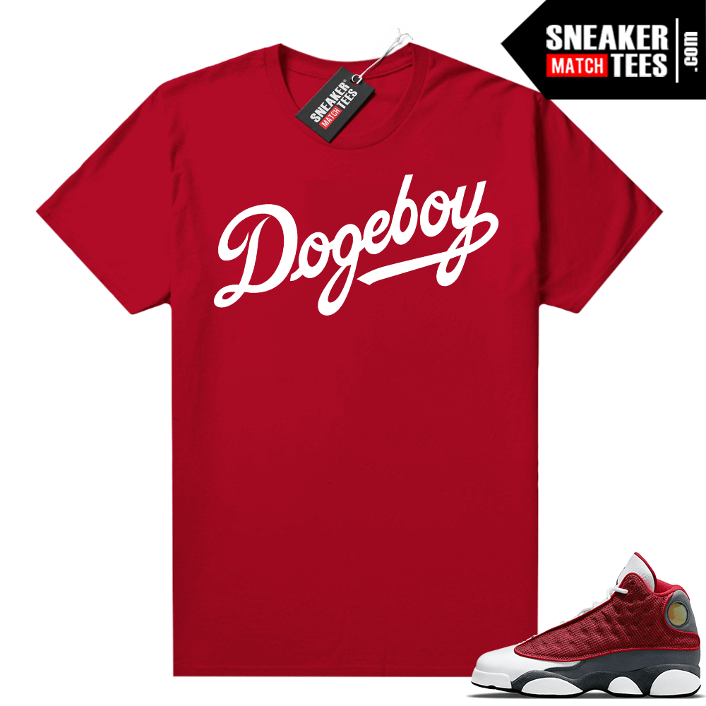 Dogecoin shirts | Dogecoin Dogeboy Sneaker Match