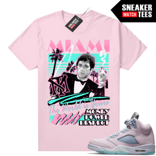 Sneaker shirts Jordan 5 Regal Pink