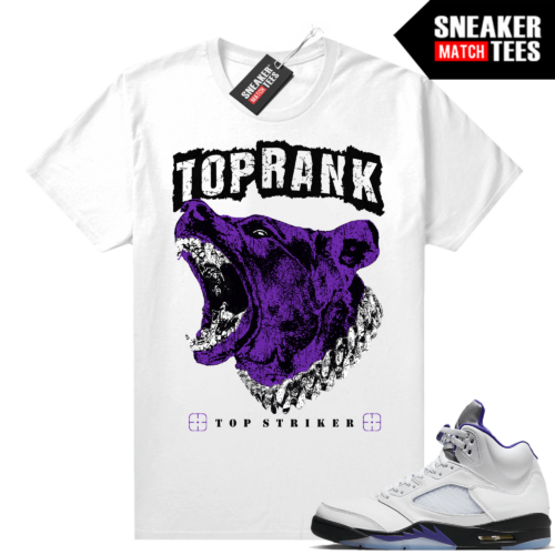 Concord 5s Shirts to match Sneaker Match Tees White Top Striker