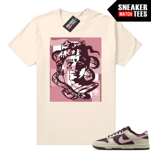 Nike Dunk low Valentines Day shirts Sneaker kyrie Sail Gior Medusa 500x500