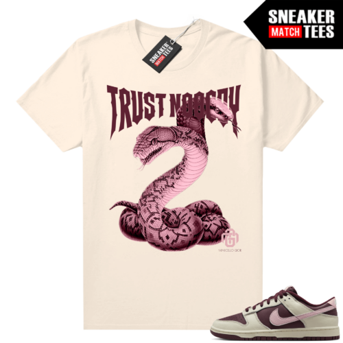 Nike Dunk low Valentine's Day shirts Sneaker Match Sail Gior Trust Nobody