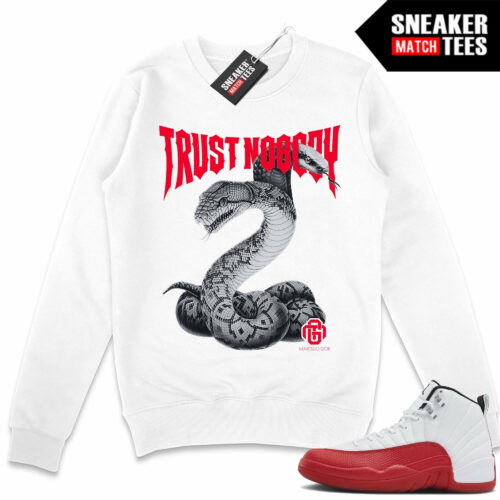 Jordan 12 Cherry Ariss-eu Sneaker Match Sweater White Trust Nobody