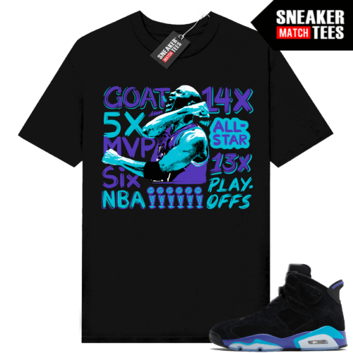 Jordan 6 Aqua Sneaker Tees Match Shirts Black MJ Accolades Celebration