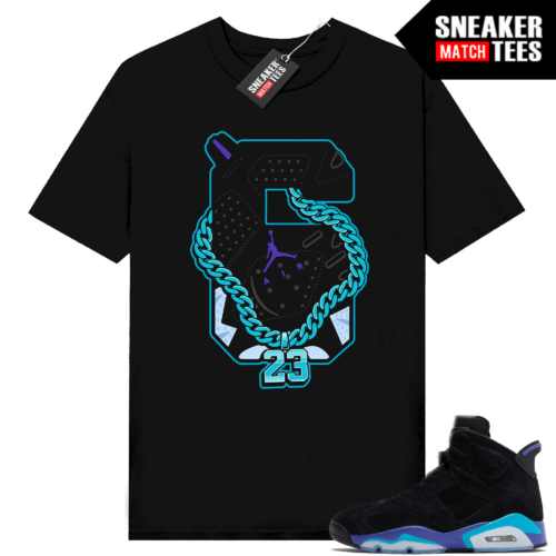 Jordan 6 Aqua Sneaker Tees Match Shirts Black Retro 6