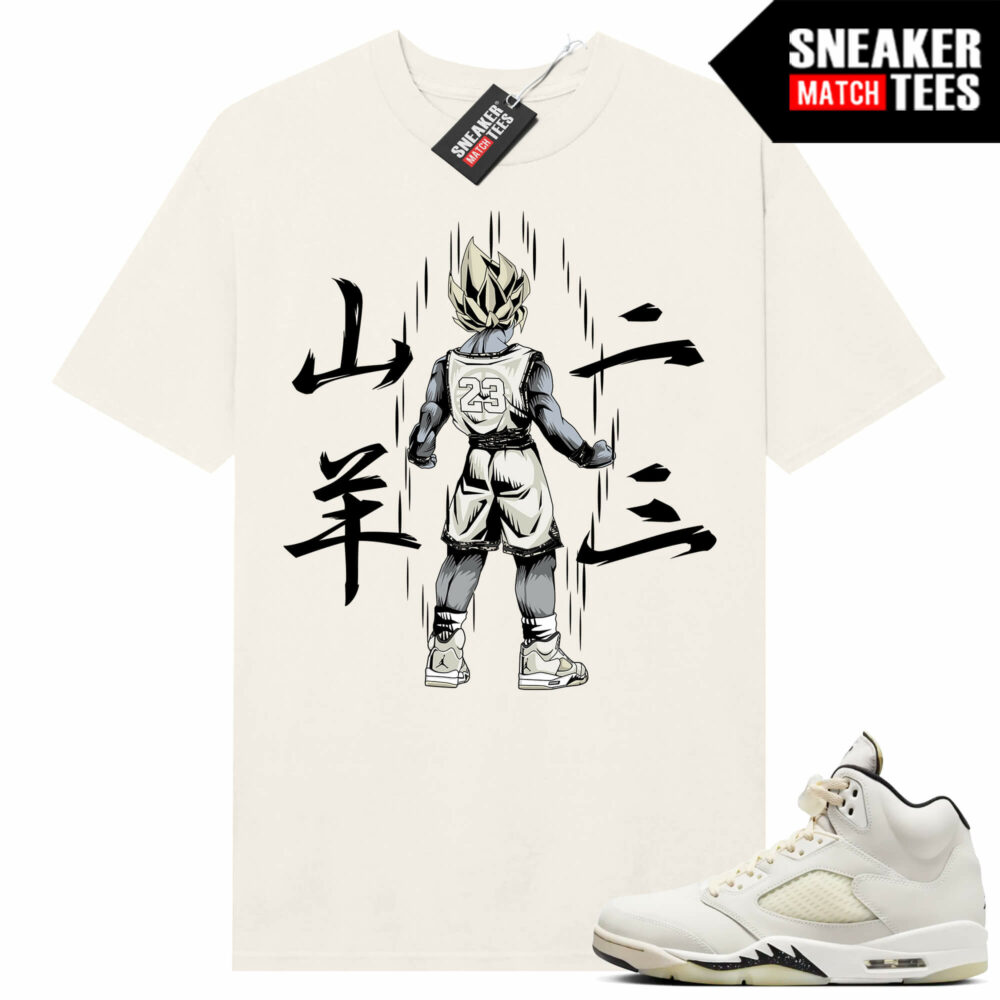tees to match jordans
