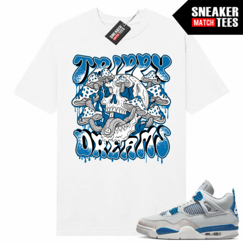 Jordan Win Air Jordan Win 4 Retro NRG singles day Dreams