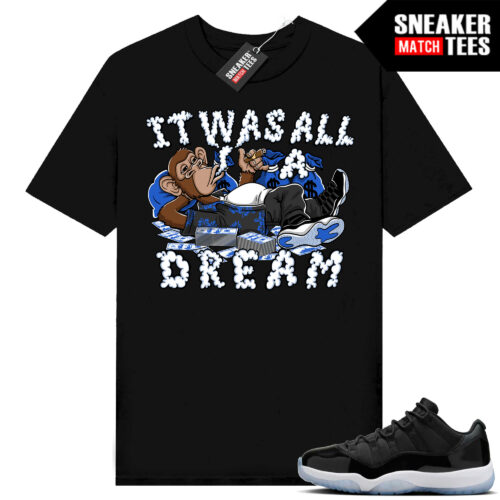 Jordan 11 Low Space Jam Match Sneaker Tees All A Dream