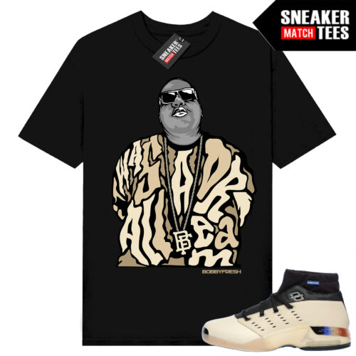 Jordan 17 Low Infinite Archives Shirt to match