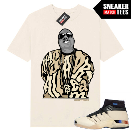 Jordan 17 Low Infinite Archives Shirt to match