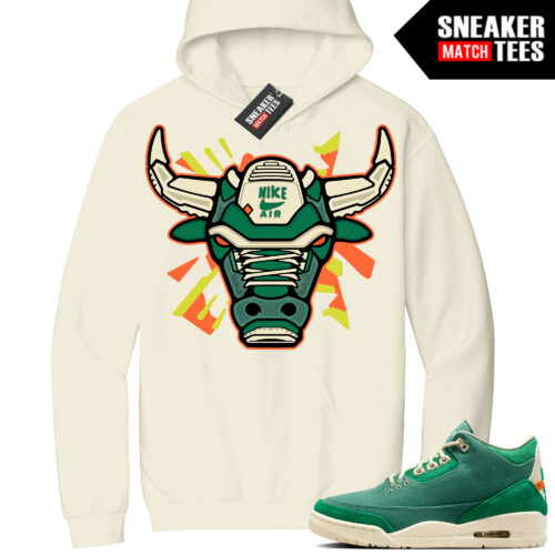 Jordan 3 Nina Chanel Sneaker Match Hoodie Sail Retro Bull