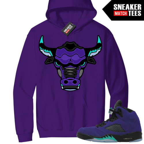 Jordan 5 Alternate Grape Sneaker Match Hoodie Purple Retro Bull