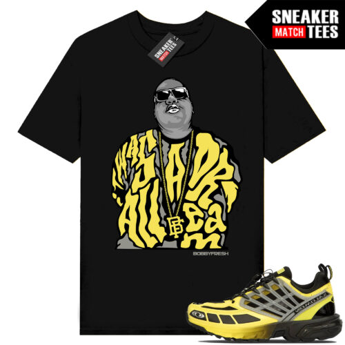MM6 Maison Margiela x Salomon ACS Pro Advance Shirt to match