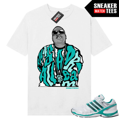 Sporty & Rich Adistar Control 5 White Teal Shirt to match