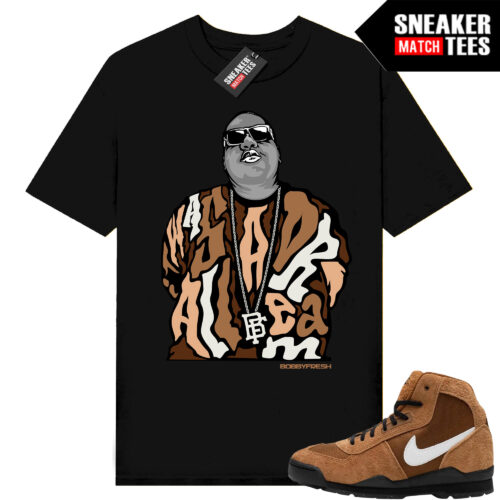 Stussy x Nike Baltoro Shirt to match