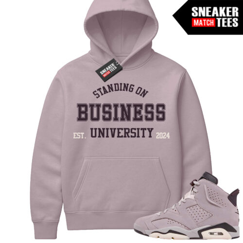 Jordan 6 AMM Smokey Mauve Sneaker Match Hoodie Mauve Business University