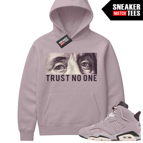 Jordan 6 AMM Smokey Mauve Sneaker Match Hoodie Mauve Trust No One