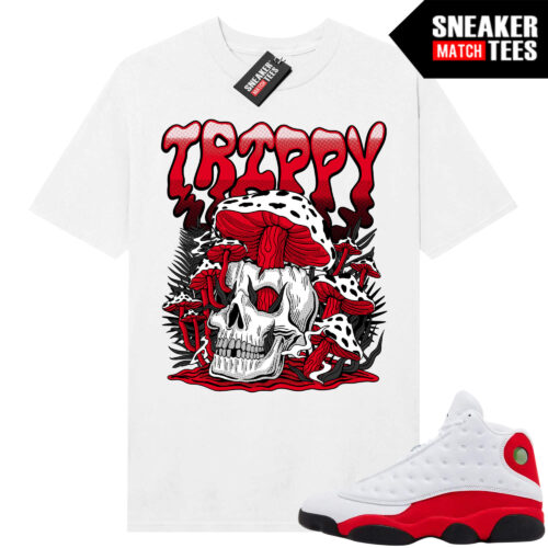 Jordan 13 Chicago Sneaker Match Tees White Trippy Land
