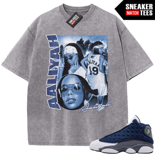 Flint 13 AJ13 Sneaker Match Vintage Wash Tee Light Grey Aaliyah rap