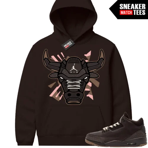 Fireside 3s Sneaker Match Hoodies Retro Bull